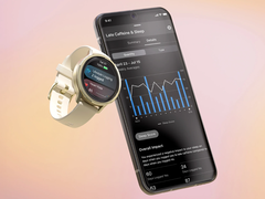 O recurso de registro de estilo de vida da Garmin está se tornando parcialmente automatizado. (Fonte da imagem: Garmin)
