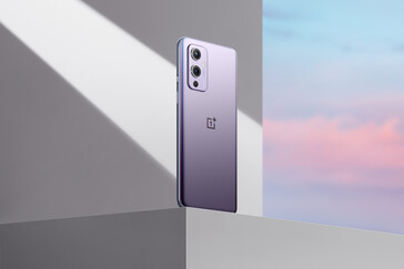 OnePlus 9 - Névoa de inverno. (Fonte de imagem: OnePlus)