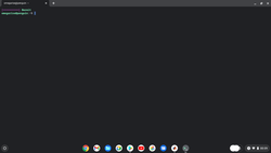 Ambiente Linux sob o sistema operacional Chrome