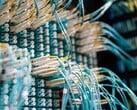 Cabos de fibra óptica azuis com conectores brancos conectados a um painel de conexões em um centro de dados