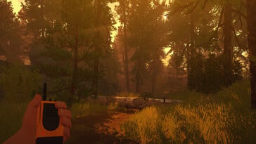 Uma imagem mostrando uma floresta em Firewatch.