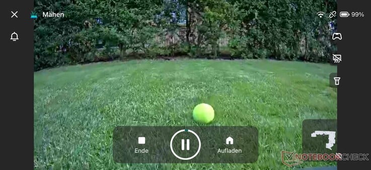 Detecção de obstáculos (bola de tênis) da perspectiva do cortador de grama robótico (vídeo ao vivo no aplicativo)