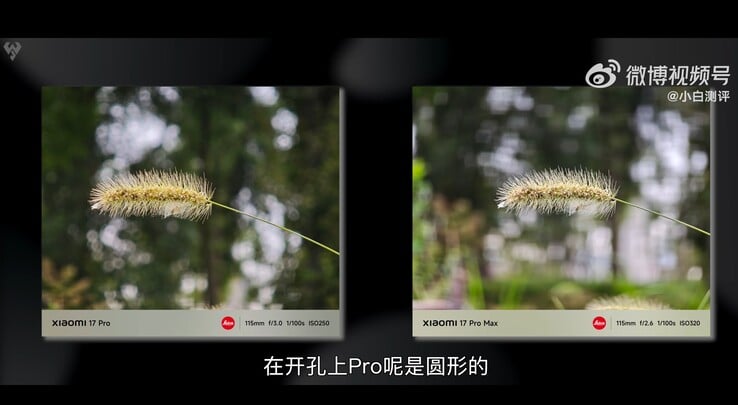 Xiaomi 17 Pro vs Xiaomi 17 Pro Max: foto macro tirada com telefoto 5x comparada