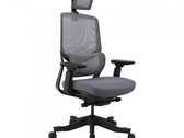 Flexispot Soutien Ergonomic Office Chair hands-on