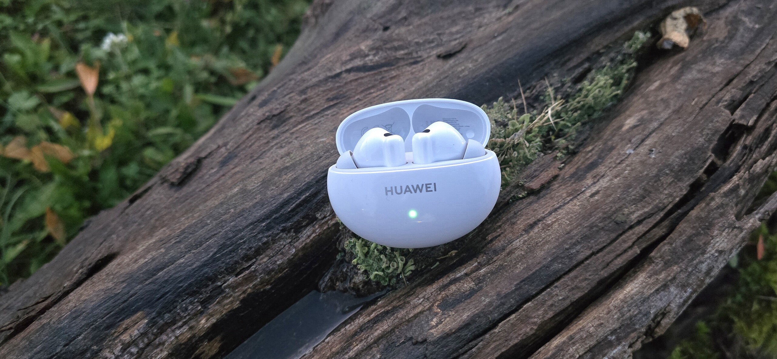 Test Huawei FreeBuds 6i Notebookcheck (Bildquelle: Marcus Herbrich)