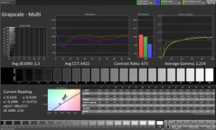 CalMAN Grayscale (Escala de cinza)