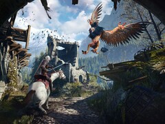 Imagem do jogo The Witcher 3: Wild Hunt. (Fonte da imagem: Steam)