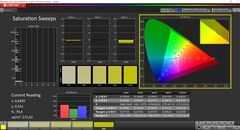 Saturação CalMAN (perfil: nativo, espaço de cores de destino: P3)