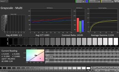 Escala de cinza (perfil: Professional, espaço de cor de destino: sRGB)