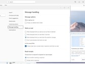 Versão do cliente Microsoft Outlook para Windows 20231027003.15 (Fonte: própria)