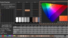 CalMAN: ColorChecker (calibrado)