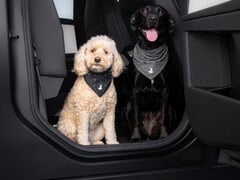 Bandana “Tesla Dog Mode”