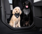 Bandana “Tesla Dog Mode”