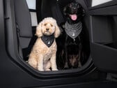 Bandana “Tesla Dog Mode”