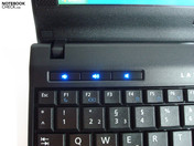 Berrantes LEDs brilhantes