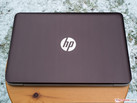 A HP chama de Truffle Brown (marrom trufa)...