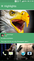 A interface do HTC Sense tem belos recursos como Highlights...
