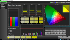 CalMAN - Saturation Sweeps (post-calibration)