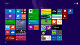 Microsoft Windows 8.1 (64-bits) está pré-instalado.