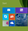 O Windows 8.1 Pro 64-bit está pré-instalado.