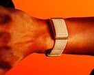 A Polar está competindo com a Whoop com uma pulseira leve que não exige assinatura. (Fonte da imagem: Polar)