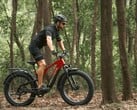 A e-bike Vanpowers GrandTeton-Pro tem um motor de 750W. (Fonte da imagem: Vanpowers)
