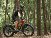 A e-bike Vanpowers GrandTeton-Pro tem um motor de 750W. (Fonte da imagem: Vanpowers)