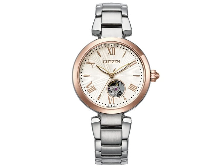Relógio The Citizen Collection PR1054-59A