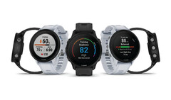 O Forerunner 955 vem em variantes de quartzo e energia solar. (Fonte de imagem: Garmin)