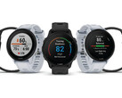 O Forerunner 955 vem em variantes de quartzo e energia solar. (Fonte de imagem: Garmin)