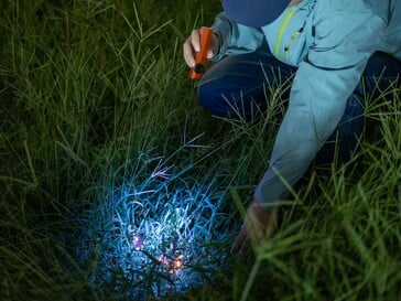 O Olight ArkPro Ultra possui uma luz UV para detectar manchas orgânicas.