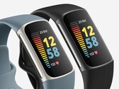 O Charge 5 é um dos nove dispositivos Fitbit que agora podem alertar sobre a fibrilação atrial. (Fonte de imagem: Fitbit)