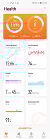 Huawei Watch GT 2 Pro Daily Journal