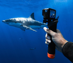 A HERO 10 Black é a mais recente câmera de ação da GoPro. (Fonte da imagem: GoPro)