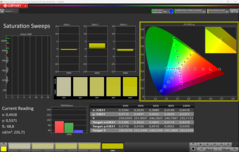 CalMAN Saturation Sweeps calibrado