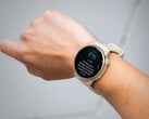 O smartwatch Garmin vivoactive 6 está recebendo sua primeira atualização beta. (Fonte da imagem: Garmin)