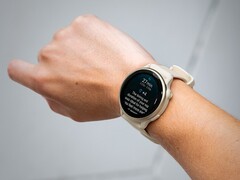 O smartwatch Garmin vivoactive 6 está recebendo sua primeira atualização beta. (Fonte da imagem: Garmin)
