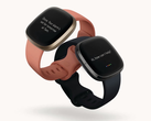 Os últimos smartwatches Fitbit receberam novos recursos com o Fitbit OS 5.1. (Fonte de imagem: Fitbit)