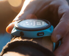 A Garmin trouxe vários novos recursos para o Forerunner 265 com a versão 17.24. (Fonte da imagem: Garmin)