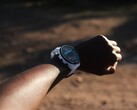 A Garmin está lançando a versão 18.22 do software para o Forerunner 955. (Fonte da imagem: Garmin)