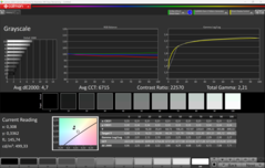 CalMAN Grayscale (Escala de cinza)