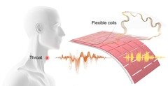 Engenheiros da UCLA criam patch para traduzir fala muda e movimentos musculares da garganta em fala audível. (Fonte: artigo de Ziyuan Che et al.)