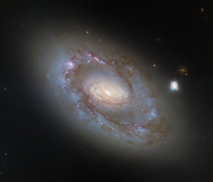 A imagem do Hubble da NGC 4102 (Fonte da imagem: ESA/Hubble, NASA e G. Fabbiano)