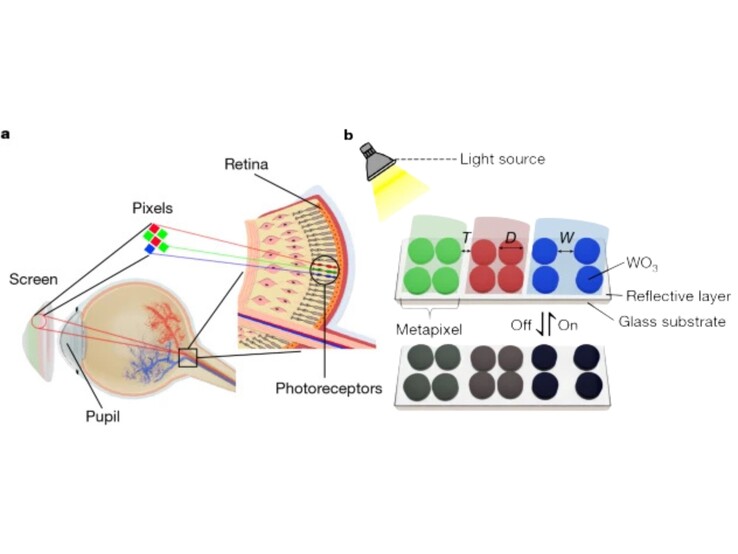 (Fonte da imagem: Nature)