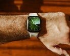 Espera-se que a próxima geração do Apple Watch apresente pouquíssimas mudanças no design.