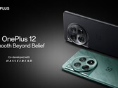 O OnePlus 12. (Fonte da imagem: OnePlus)