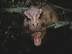 Uma imagem do T. rex