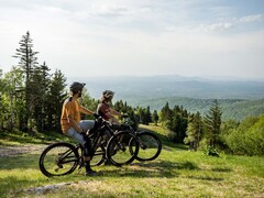 A bicicleta elétrica Devinci E-Troy Bosch tem um motor com torque de 85 Nm. (Fonte da imagem: Devinci)