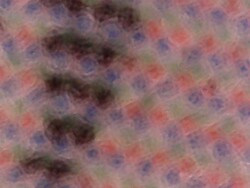 Imagem microscópica da tela