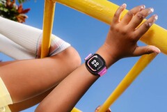 O Google está lançando uma grande atualização para o Fitbit Ace, que atualmente só está disponível nos EUA. (Fonte da imagem: Google)